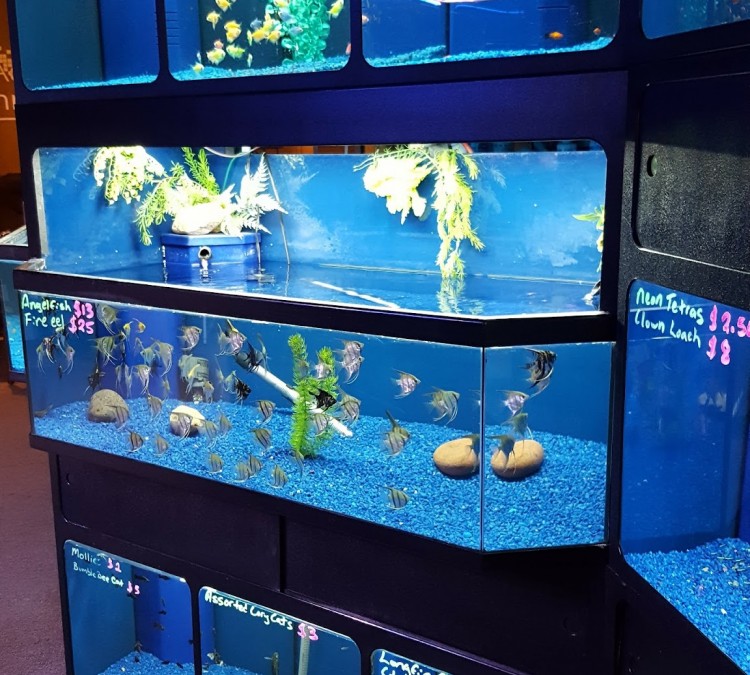 Aquarium Technologies (Midland,&nbspTX)